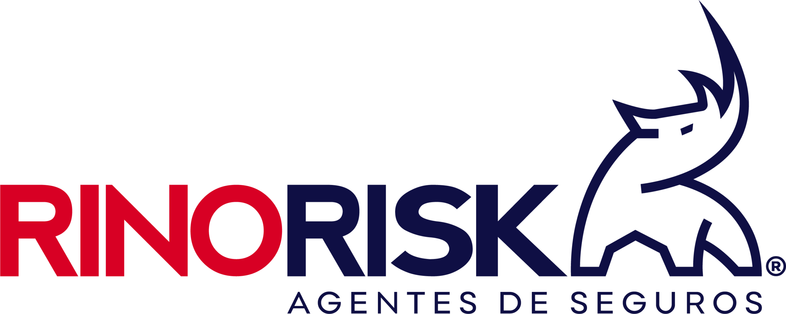 RINORISK